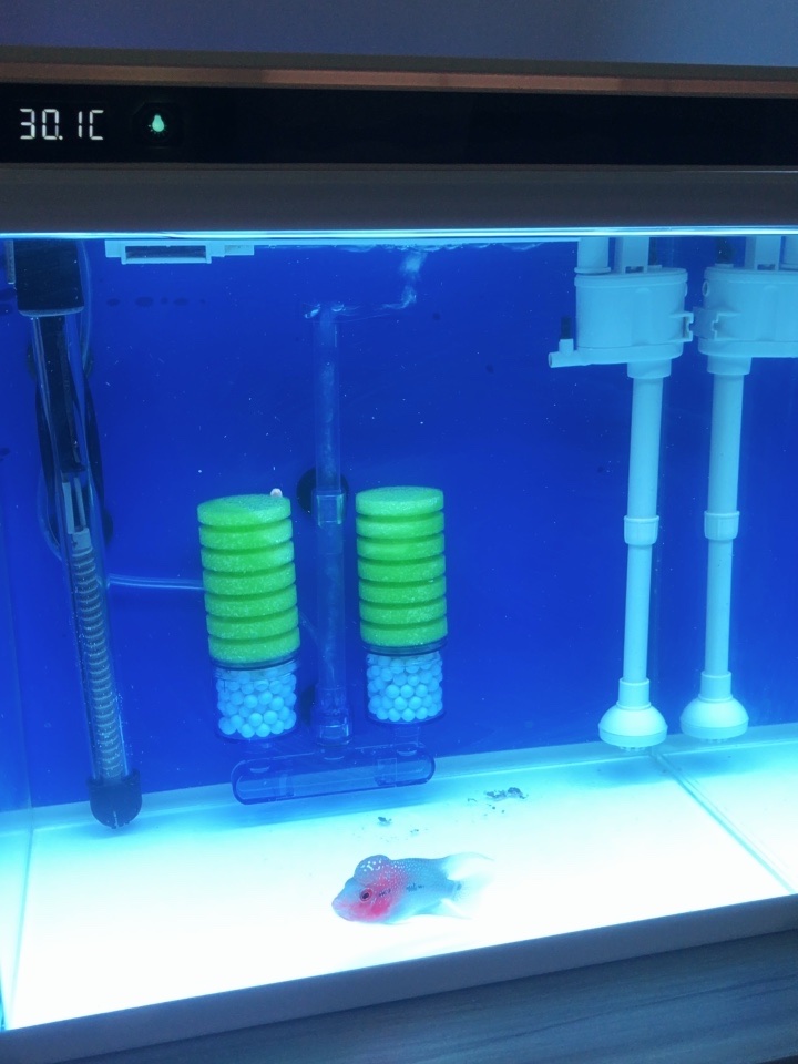 成品缸改下滤的方法,上滤成品缸如何改造