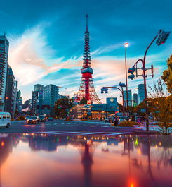 旅游景点的介绍怎么写,旅游景点介绍视频