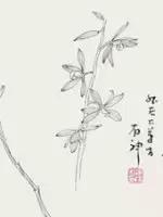 兰花的画法国画,兰花的画法步骤动画