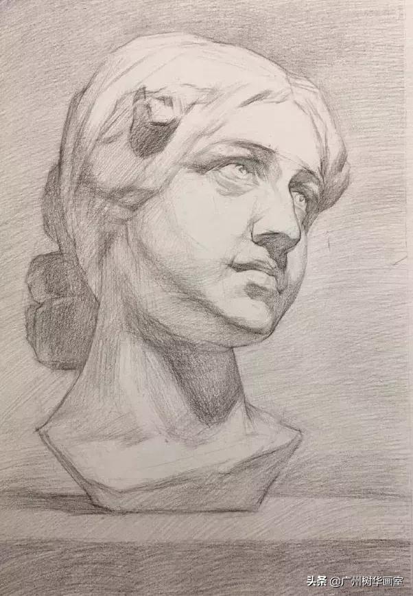 石膏头像大卫素描教程步骤,素描石膏鼻子的步骤入门