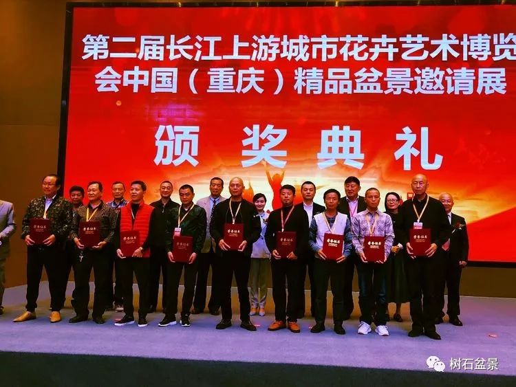 伟大使命复兴中国盆景艺术事业——2019中盆会大事回顾(下篇)