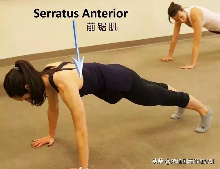 练瑜伽为什么胸越练越小,练瑜伽反而胖了怎么回事