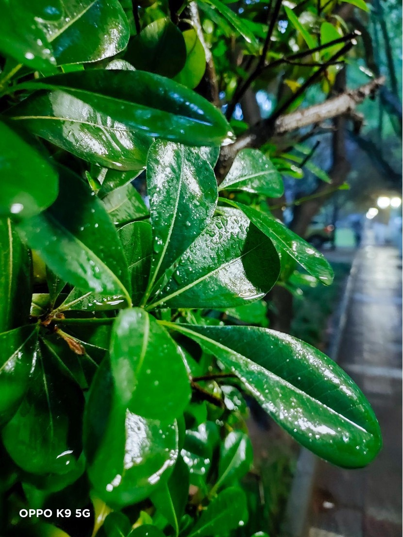 轻体验“对K套装”，大欧玩超值体验究竟如何？