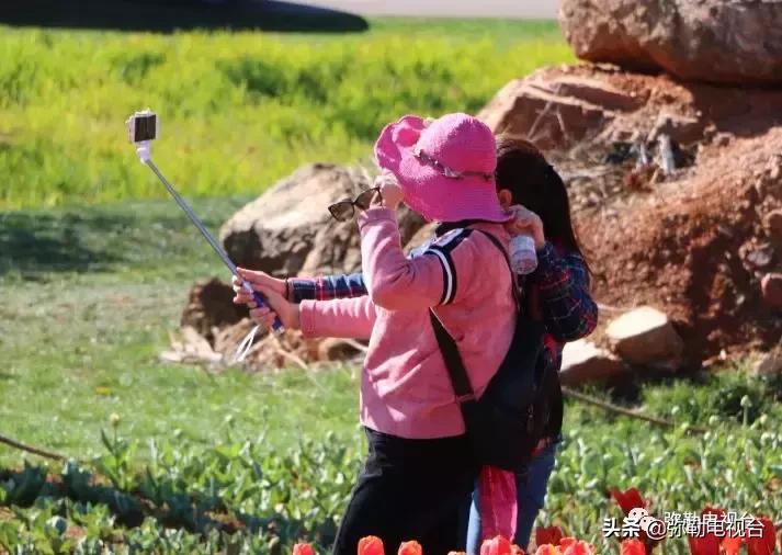 太热闹!弥勒花海、人海、车海、舞海...这些人上镜了!