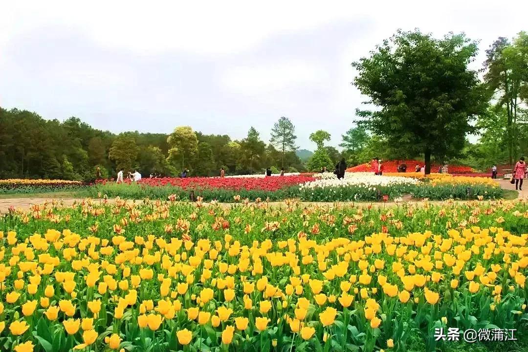 跟随央视《美丽中国》，一起去蒲江！一起去石象湖！