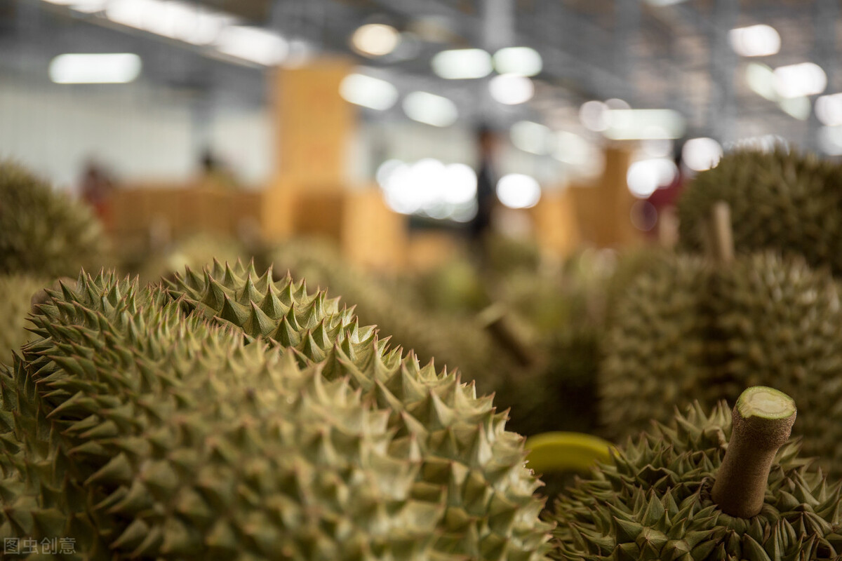 巴掌榴莲和甲仑榴莲哪个好,甲仑榴莲与金枕头榴莲口味