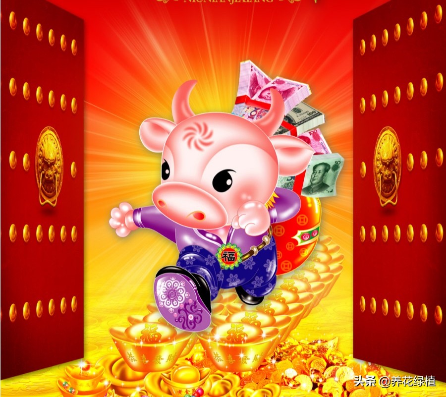 2021是辛丑年，俗语：“寡年不逢春，遇牛五谷登”，什么意思