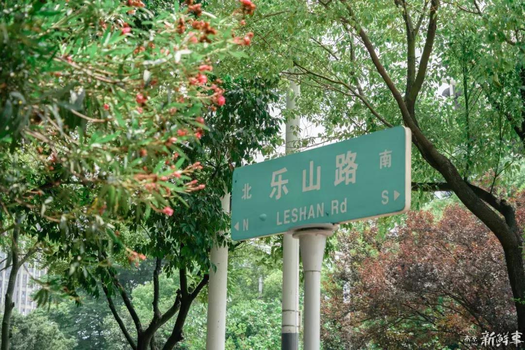 中华中学高中,中华中学