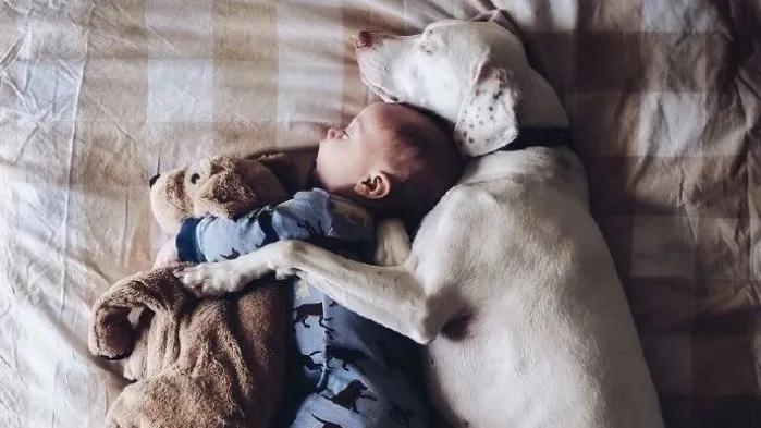 媒体广告投放文案,新媒体商业广告创意文案