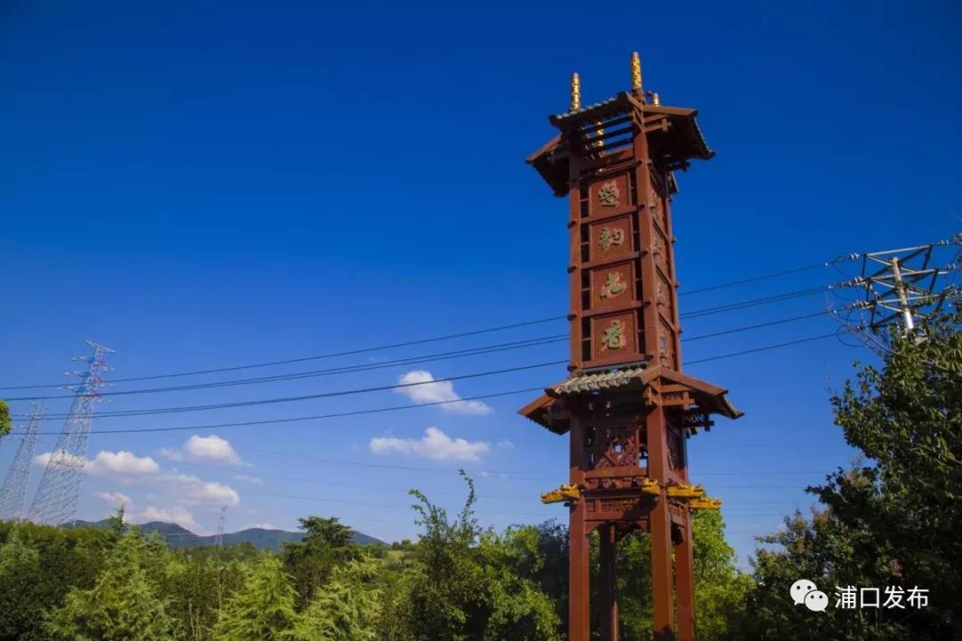 浦口花,南京看花的地方浦口