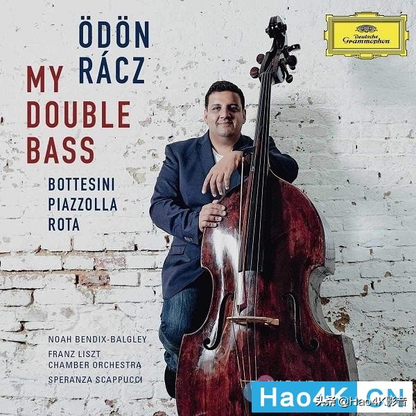 monitoraudio,monitoraudio鍔熸斁