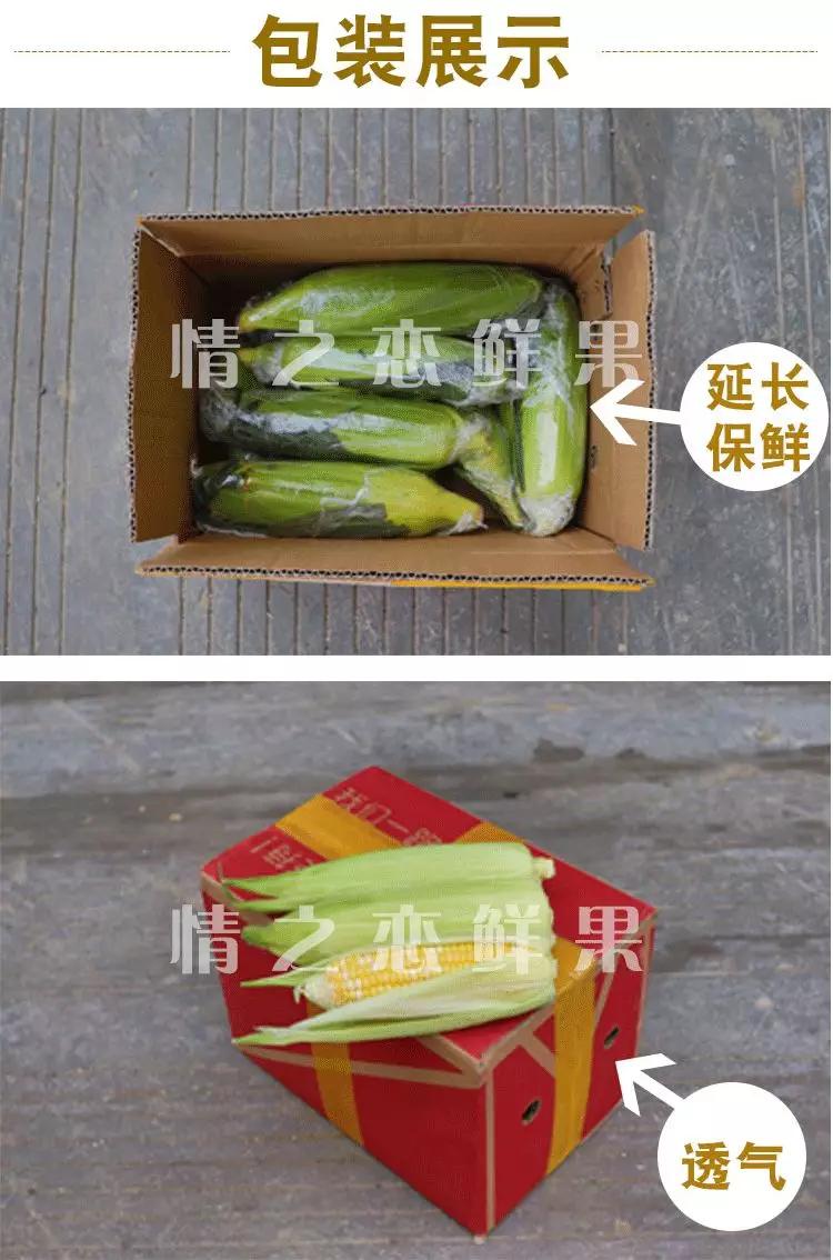 水果玉米生吃,可以生吃的爆浆水果玉米鲜甜脆嫩