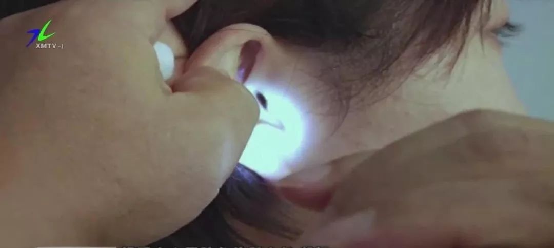 密密麻麻的黑色虫怎么办,家里出现大量黑色小甲虫会飞