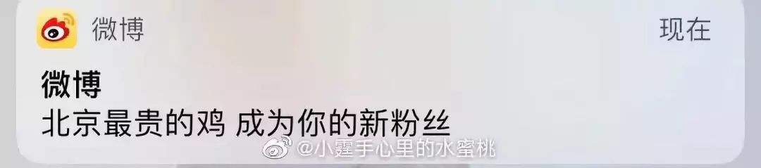 为什么淘宝会推送我想要的东西,为什么淘宝推送的全是广州的女装