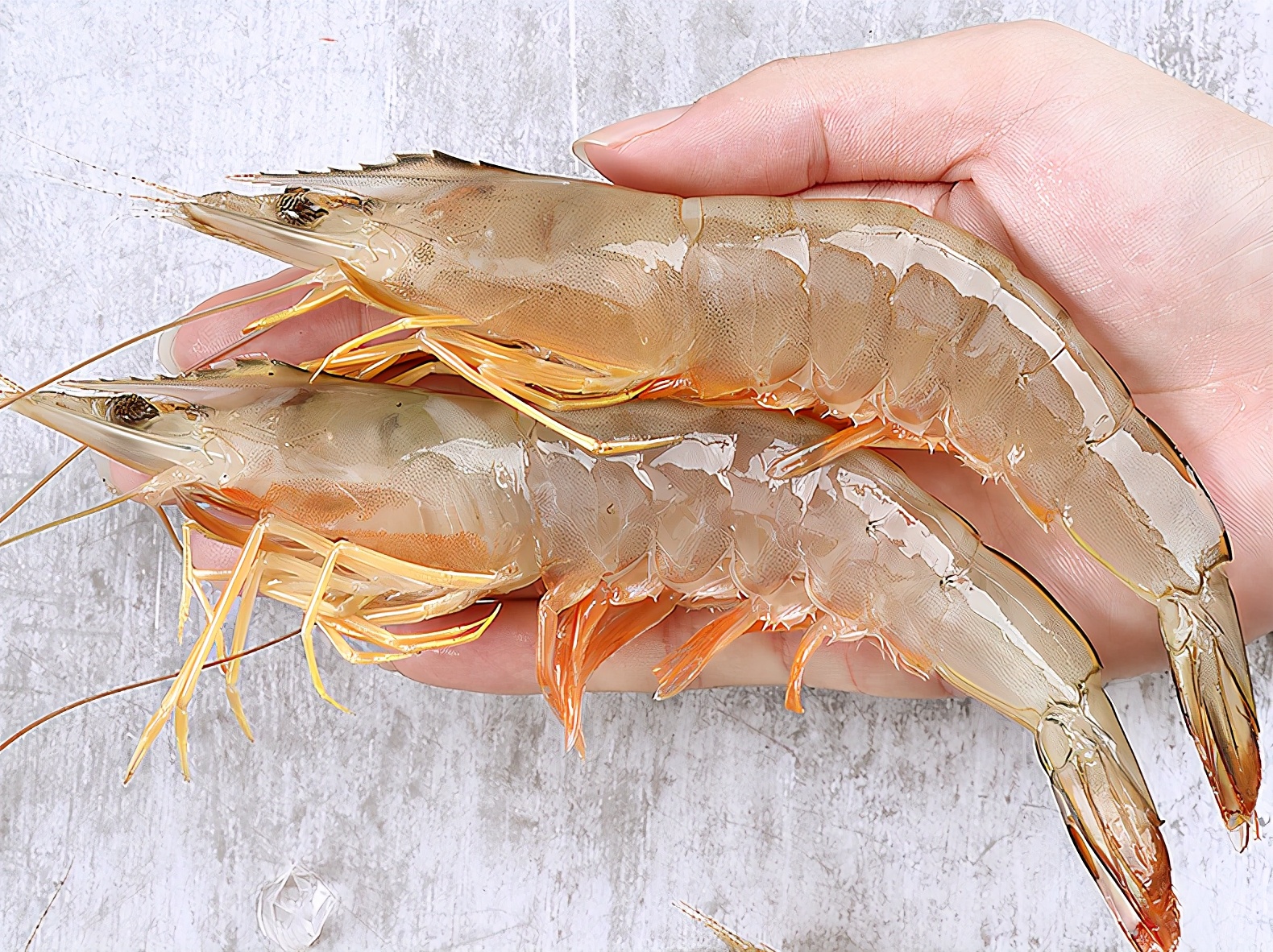 对虾基围虾明虾哪个便宜,海鲜市场买虾的视频