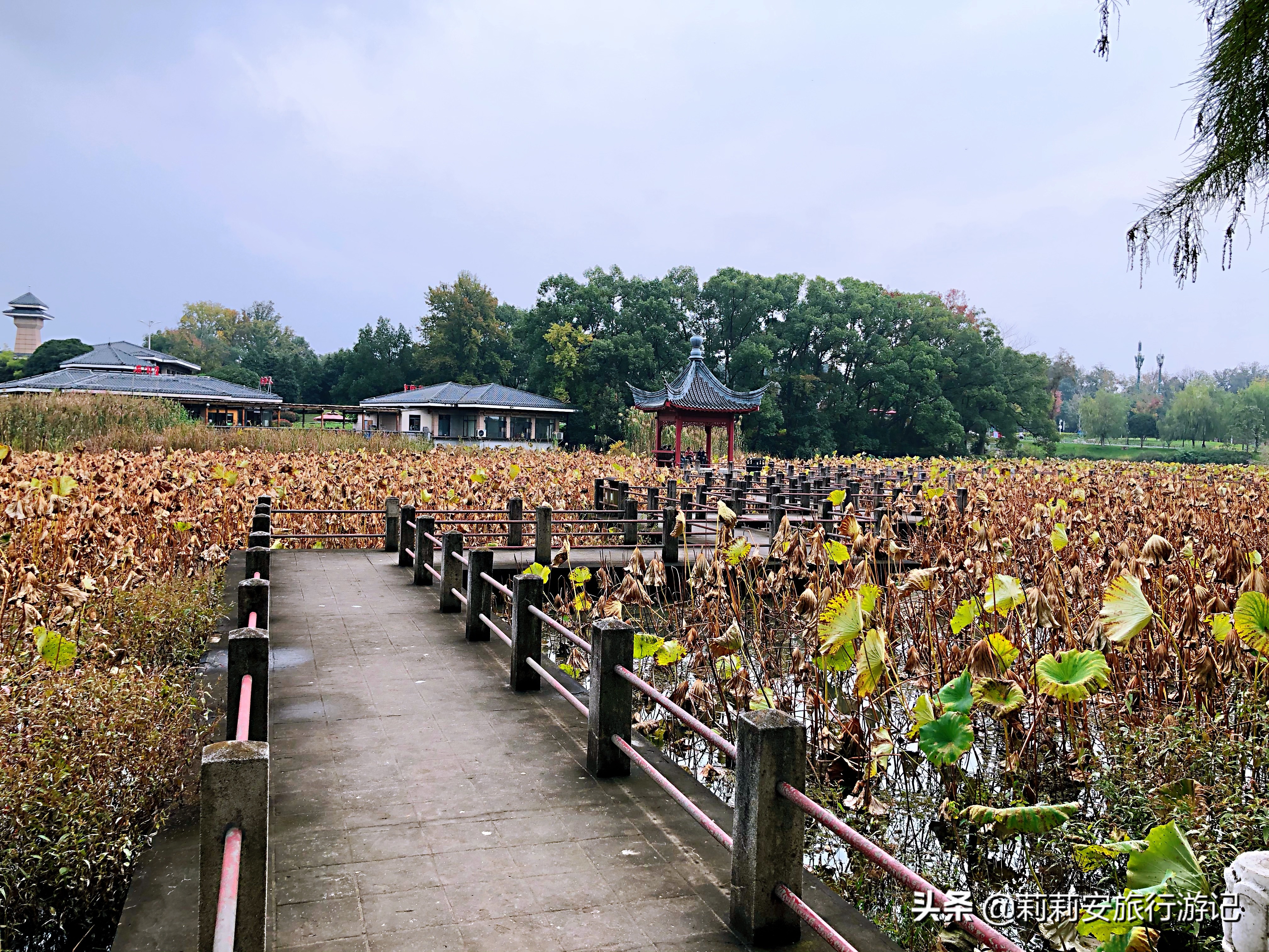 磨山楚国遗址,武汉东湖景观湖