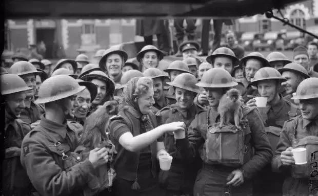 好物之走进英国丨川宁：在英国，没有什么是一杯下午茶解决不了的