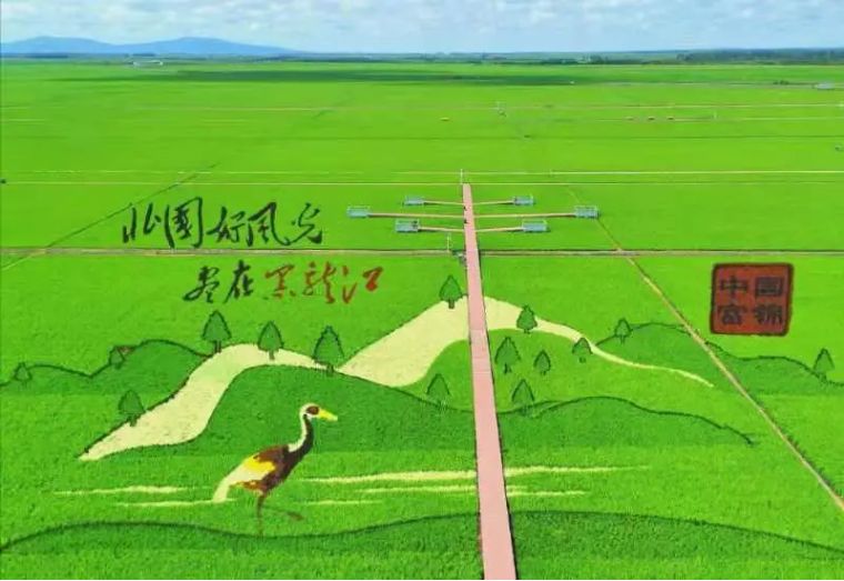 20个技巧，助您手机拍大片！（影展点评第455期）