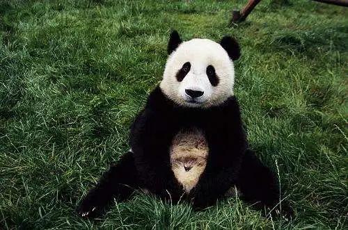 肚脐眼到底能不能抠呢,肚脐眼到底能不能抠小实验