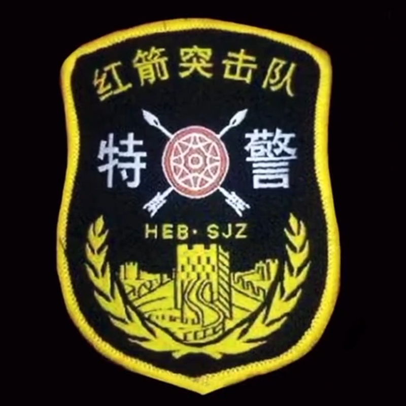 全国各个城市特警队臂章,公安特警帅图