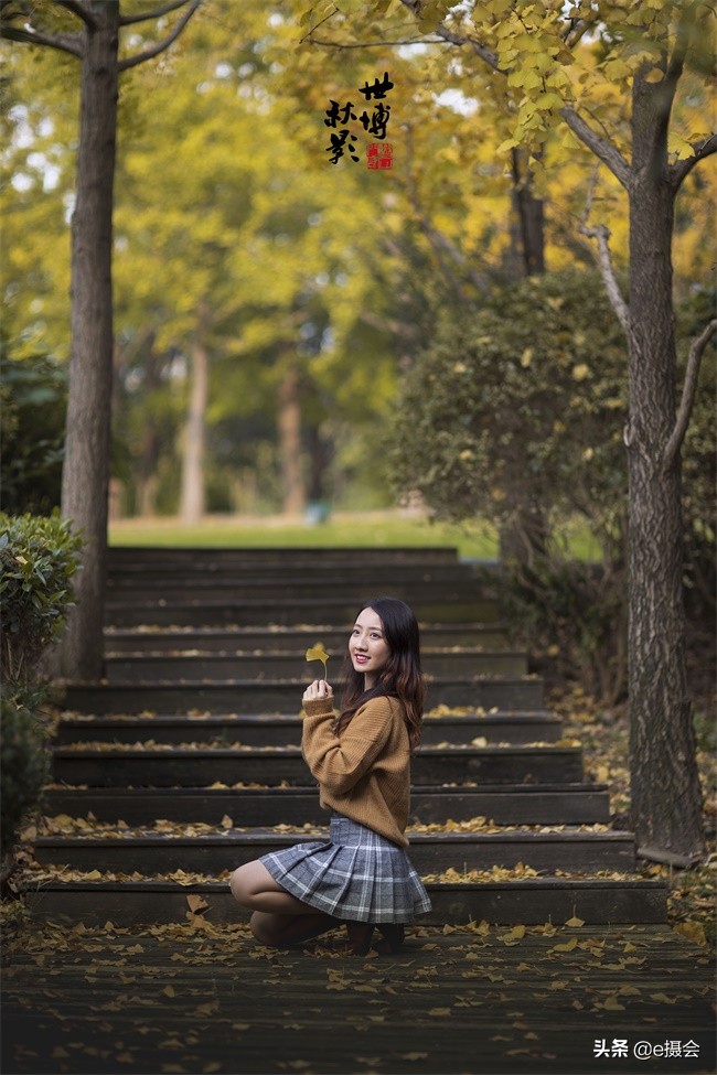 世博公园银杏林摄影照片,上海世博公园银杏最佳摄影机位