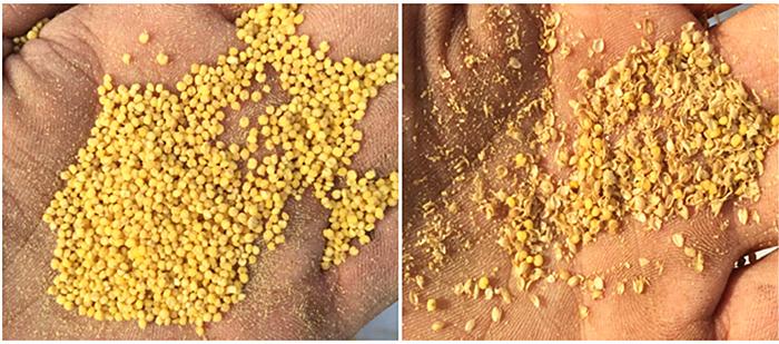 小米哪些东西不建议购买,只需三招教你轻松买到优质小米