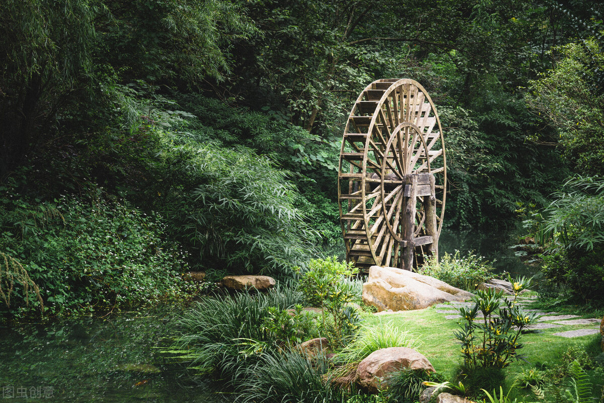 孟晚舟在张家界,孟晚舟来张家界旅游全视频