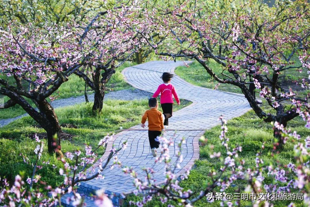 嗨！重新认识一下，我叫建宁！进来为我投票吧！