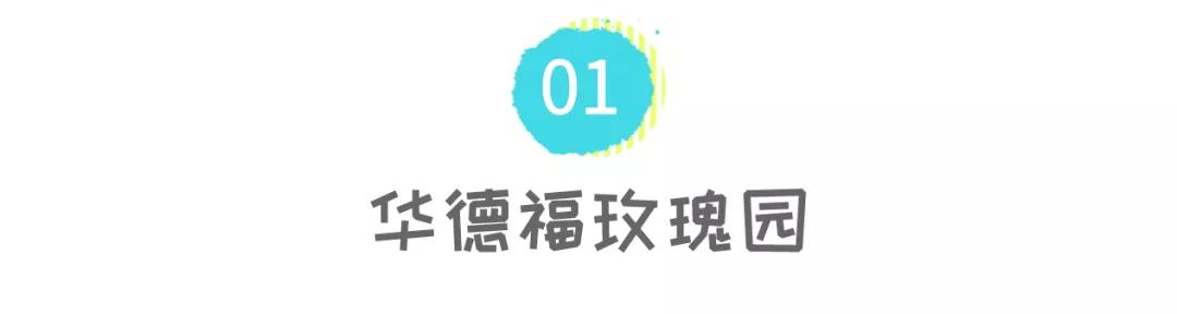 园区速递｜他们毕业了，我们看哭了……