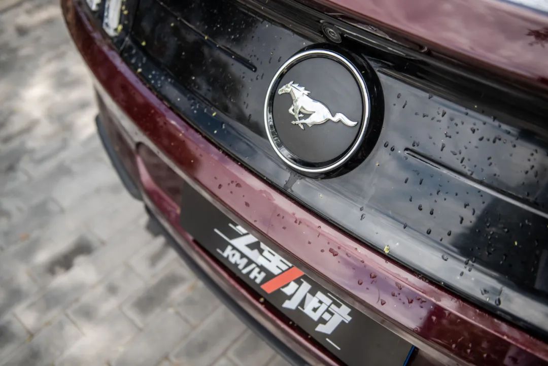 野马2.3t被叫野驴,野马2.3t小野驴