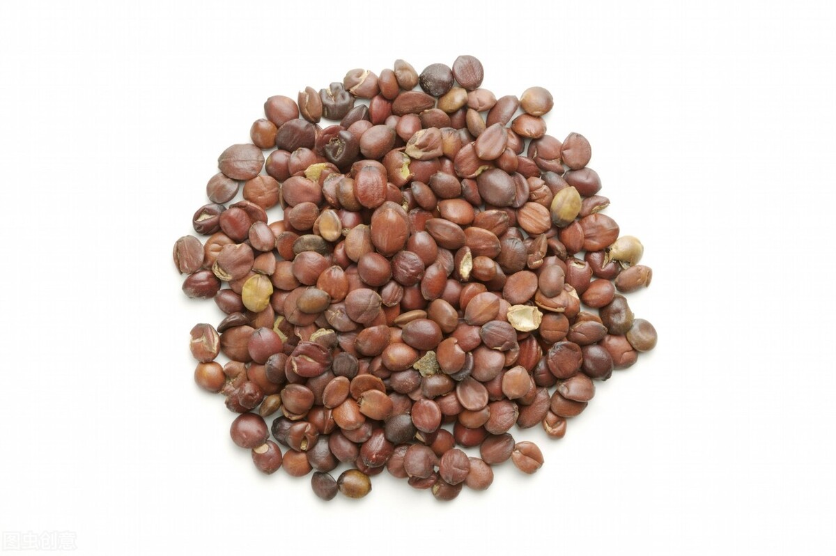 带你了解酸枣仁,真正的酸枣仁是什么样的