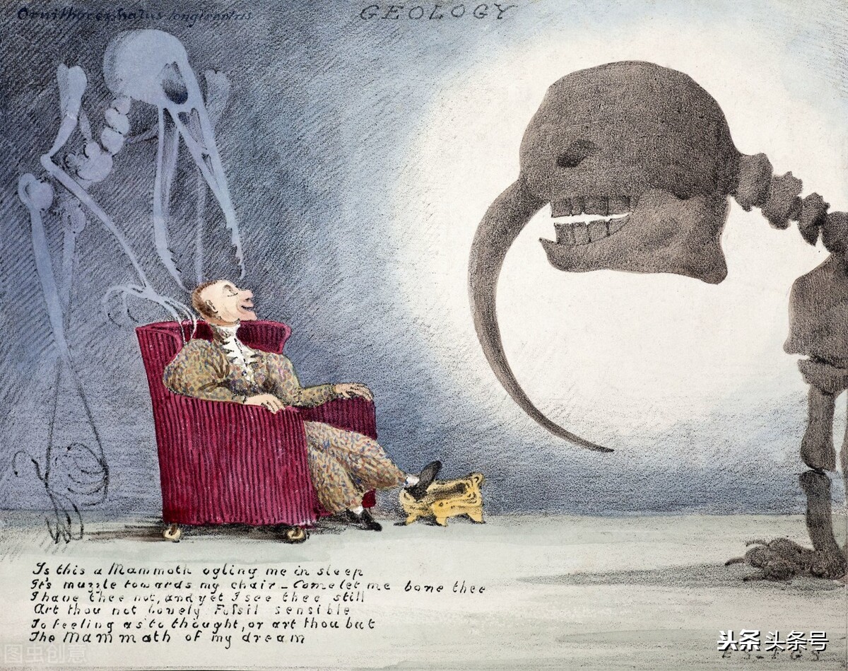 疫情期间你有做过奇奇怪怪的梦吗？