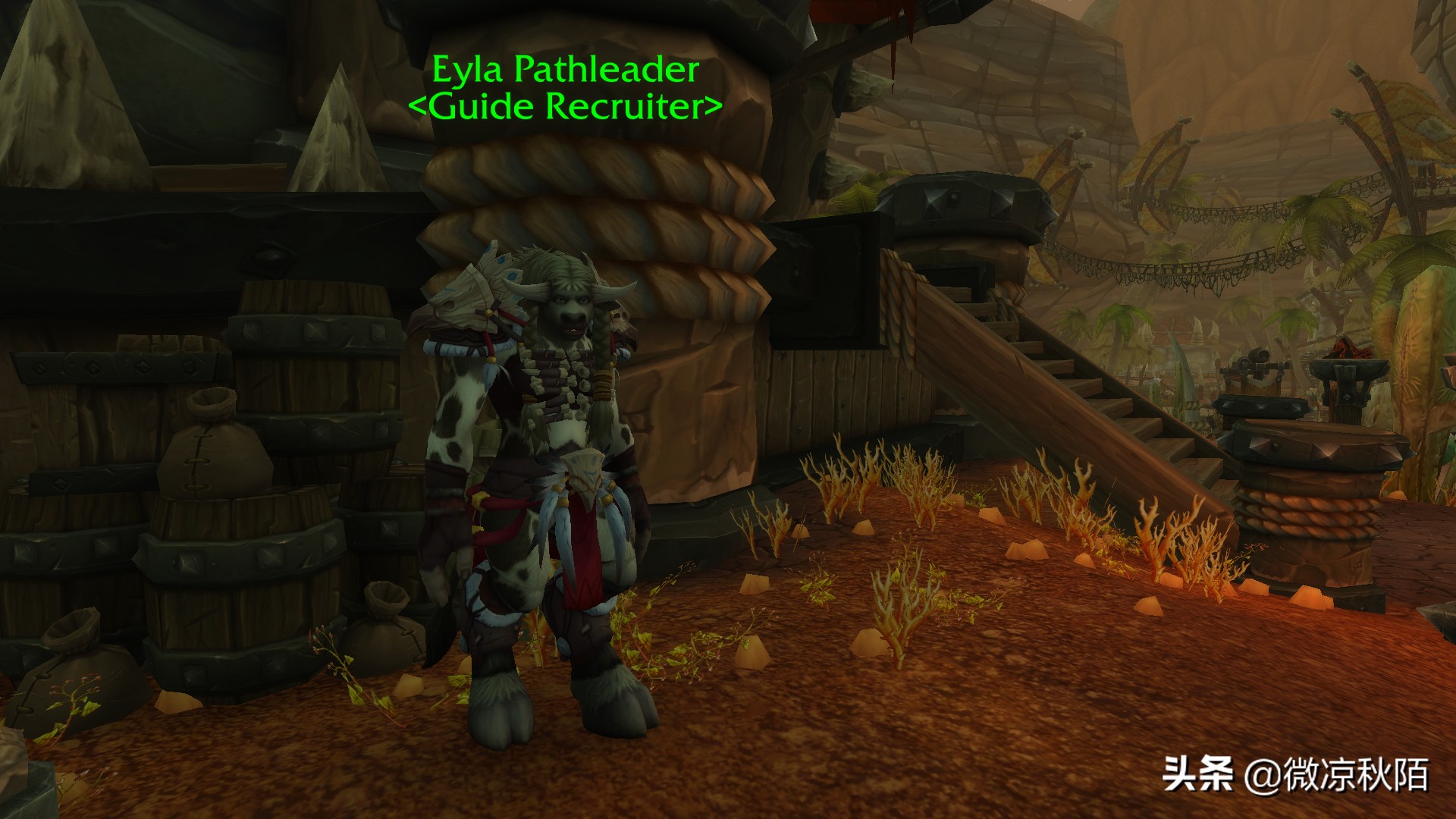 魔兽世界正式服遇到gzs,魔兽世界正式服上线被gzs攻击