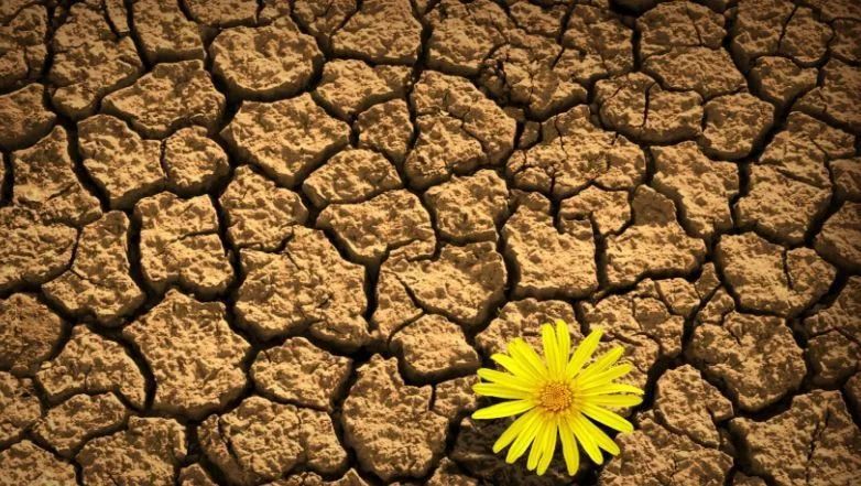 农药禁止使用名单,国家禁止使用的农药有哪些