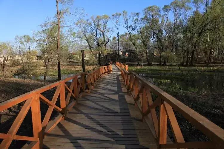 北京小众湿地公园免费,北京周边湿地公园