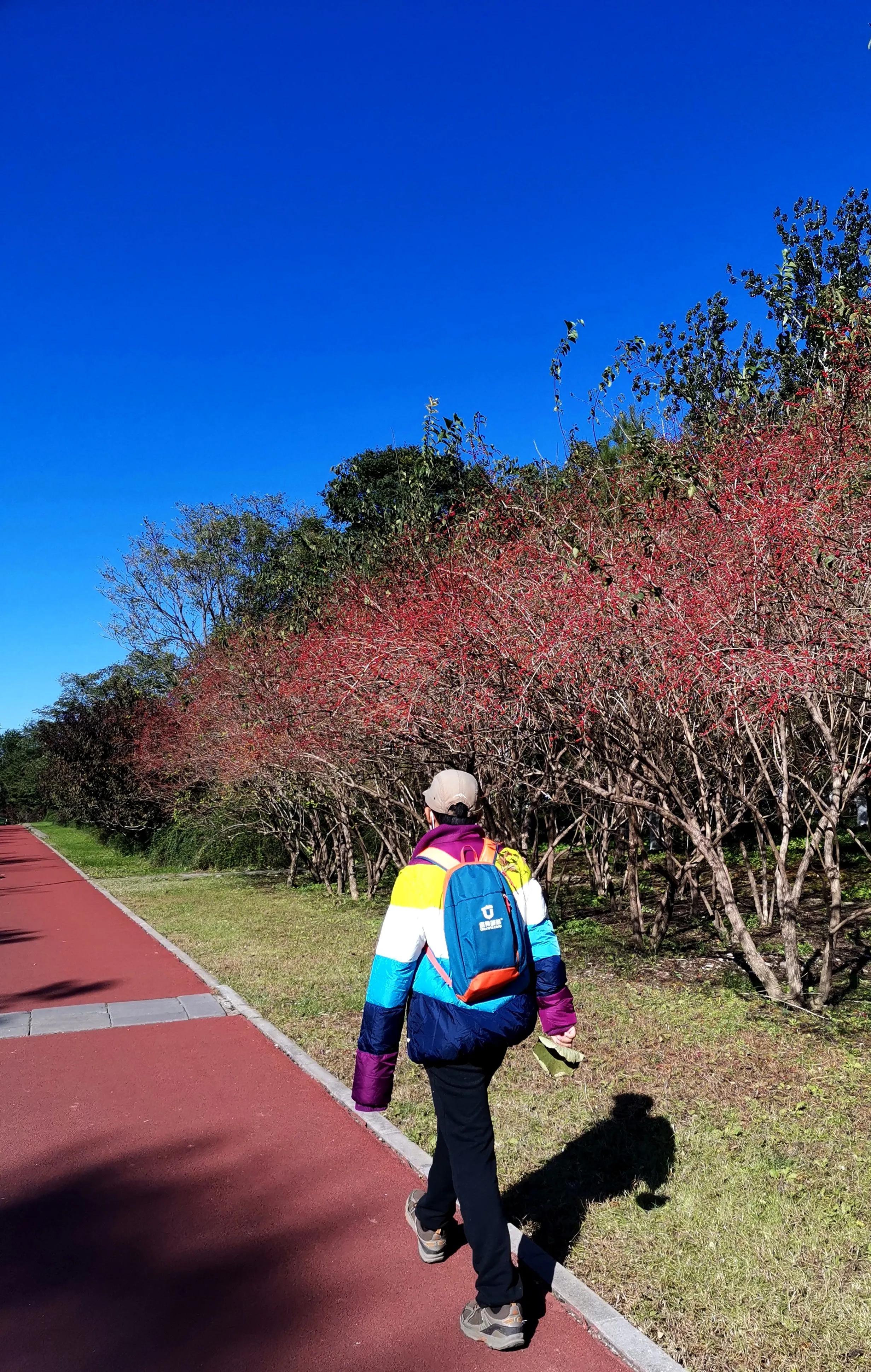 中国足球最新版图,中国足球路在何方