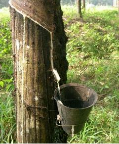 看世界图片素材库,看世界图片背景