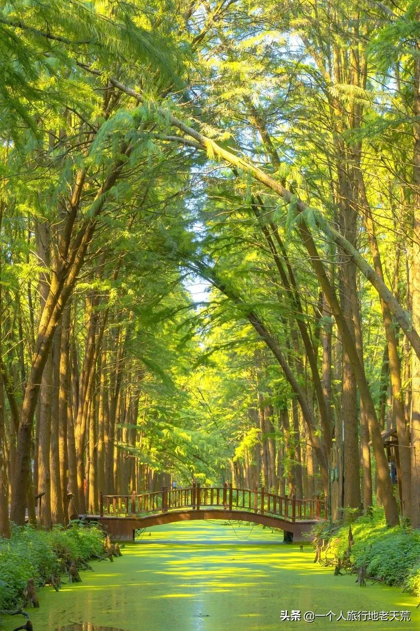 原来它才是江苏最安逸城市，累了就去小住几天