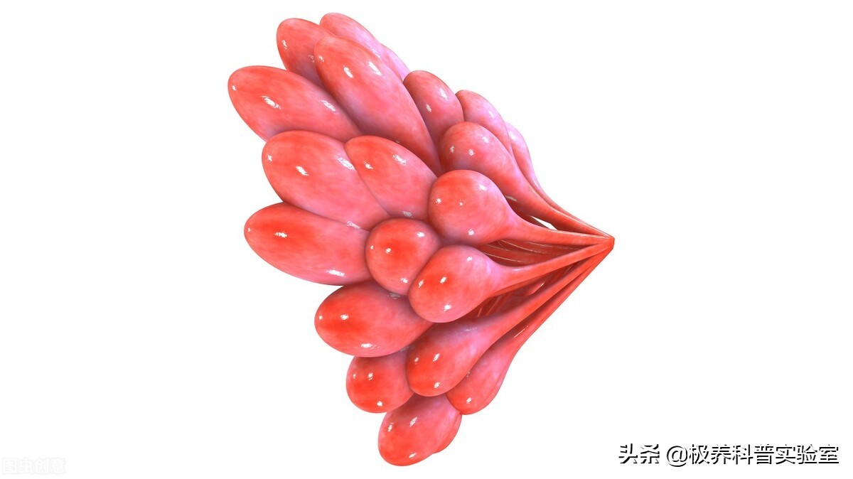 母乳里至少有多少种保护免疫成分,母乳中有哪些保护因子