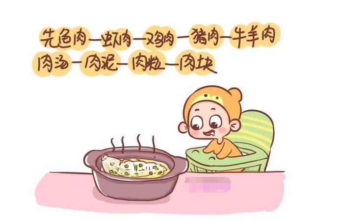 红肉白肉和无色肉的区别,白肉和红肉各指的是什么肉