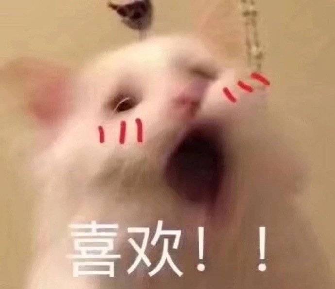 适合长期用的耳机推荐,推荐几款戴着舒服的耳机