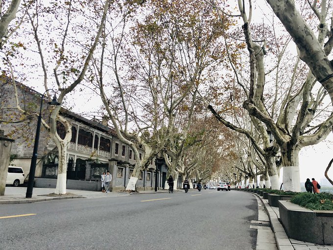 有始有终方能圆满2018年的告别行走