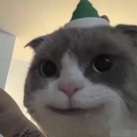 有哪些赚钱可靠的app,有什么赚钱快的app吗