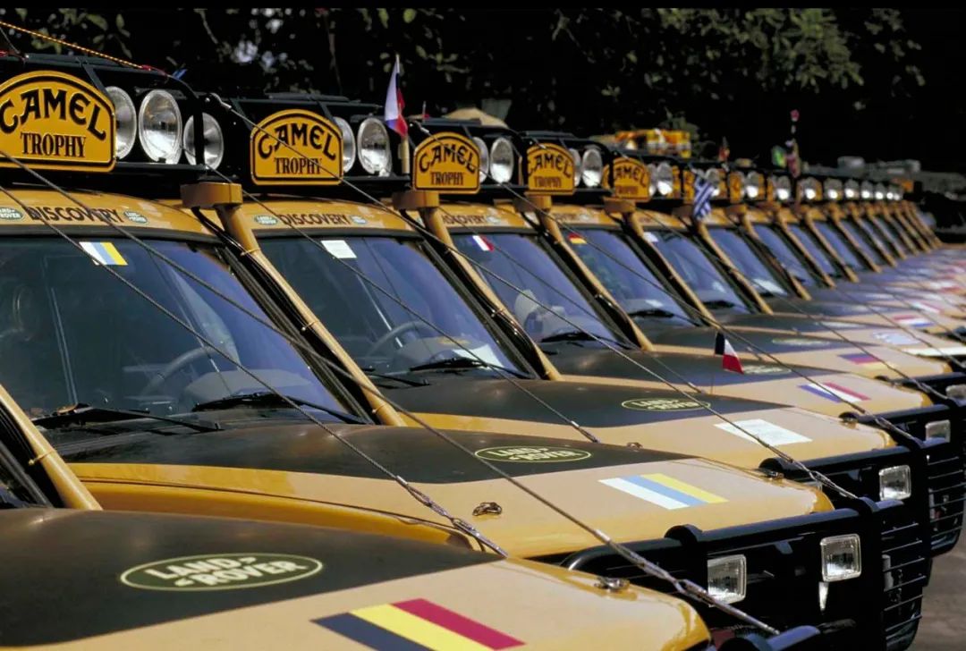 奥林匹克运动会停办的年份,奥林匹克竞赛取消了吗