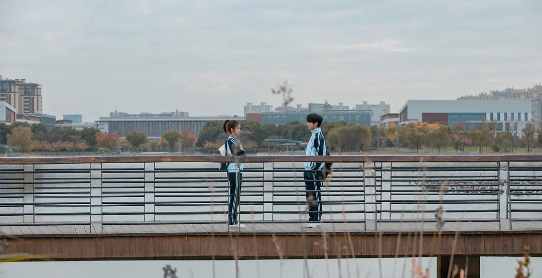 职场剧言情,好看的职场言情剧