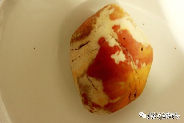 我是一颗小小的石头埋在泥土中,我是一颗小小的石头埋在泥土之中