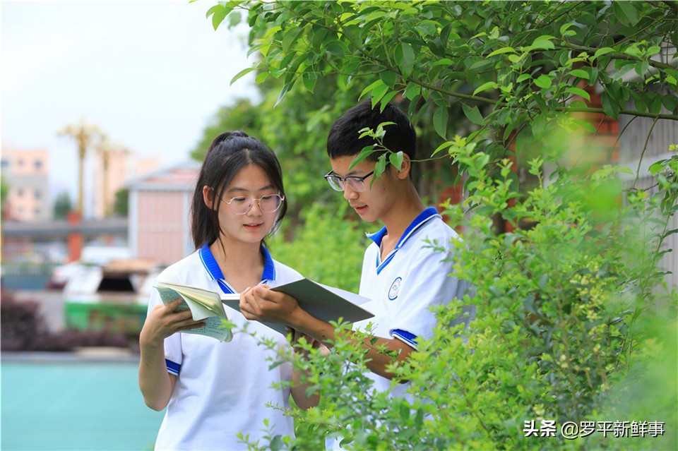 罗平一中平高学校招生简章,罗平一中平高学校2022年招生简章