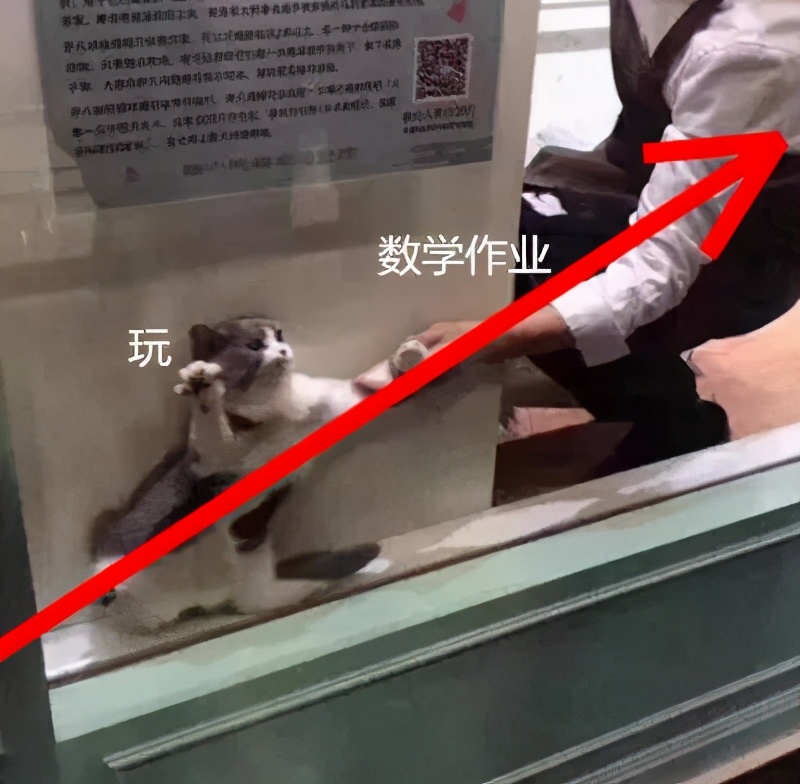 设计构图10个基本手法,设计构图十种方法