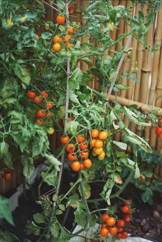 最有质感的家欢迎借鉴,打造浪漫有格调的家