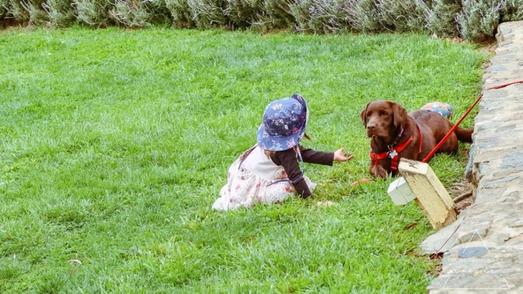 澳洲堪培拉景色,澳洲堪培拉动物园